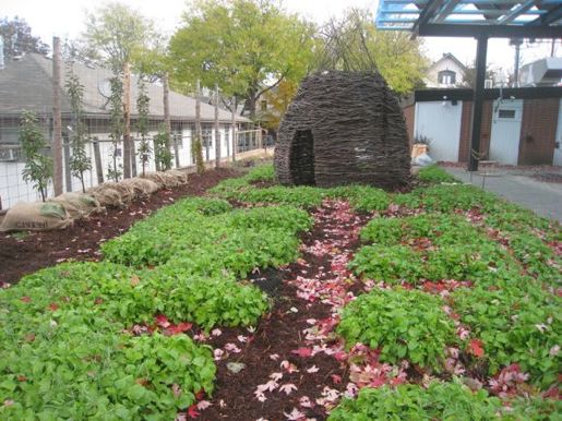 Gardens and thicket at the Tiny Diner, courtesy EcoMetro Tour