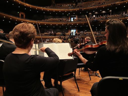 Memphis Symphony. Photo by John Minervini