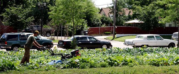 Farming in the city, courtesy Stone's Throw