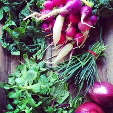 spring veggies,courtesy Bill GourmetFoods, MIll City.jpg