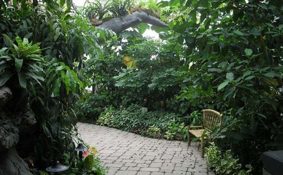 Tropical Encounters at the Como Conservatory