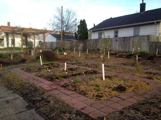 The food forest is planted