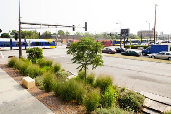 Rain Garden at Marion