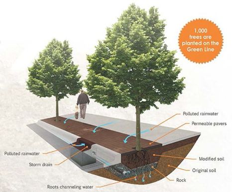 Green Line Tree Trenches 