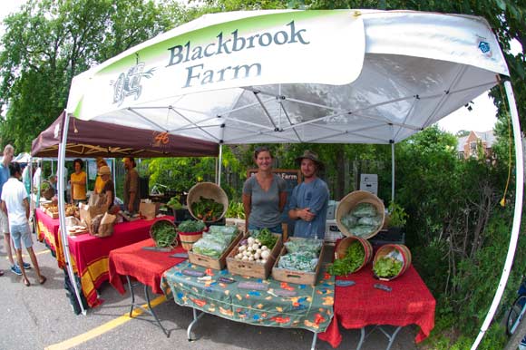 Blackbrook Farm