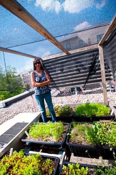 Paula Westmoreland at the Cornerstone rooftop farm