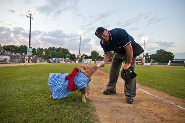 Midway Stadium Umpire Jeremy Barbe with Justin Bieboar