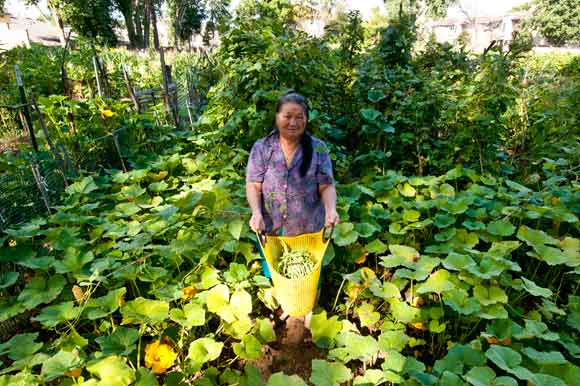 Xia Vang with green beans from her plot in the Phalen Village Community Garden